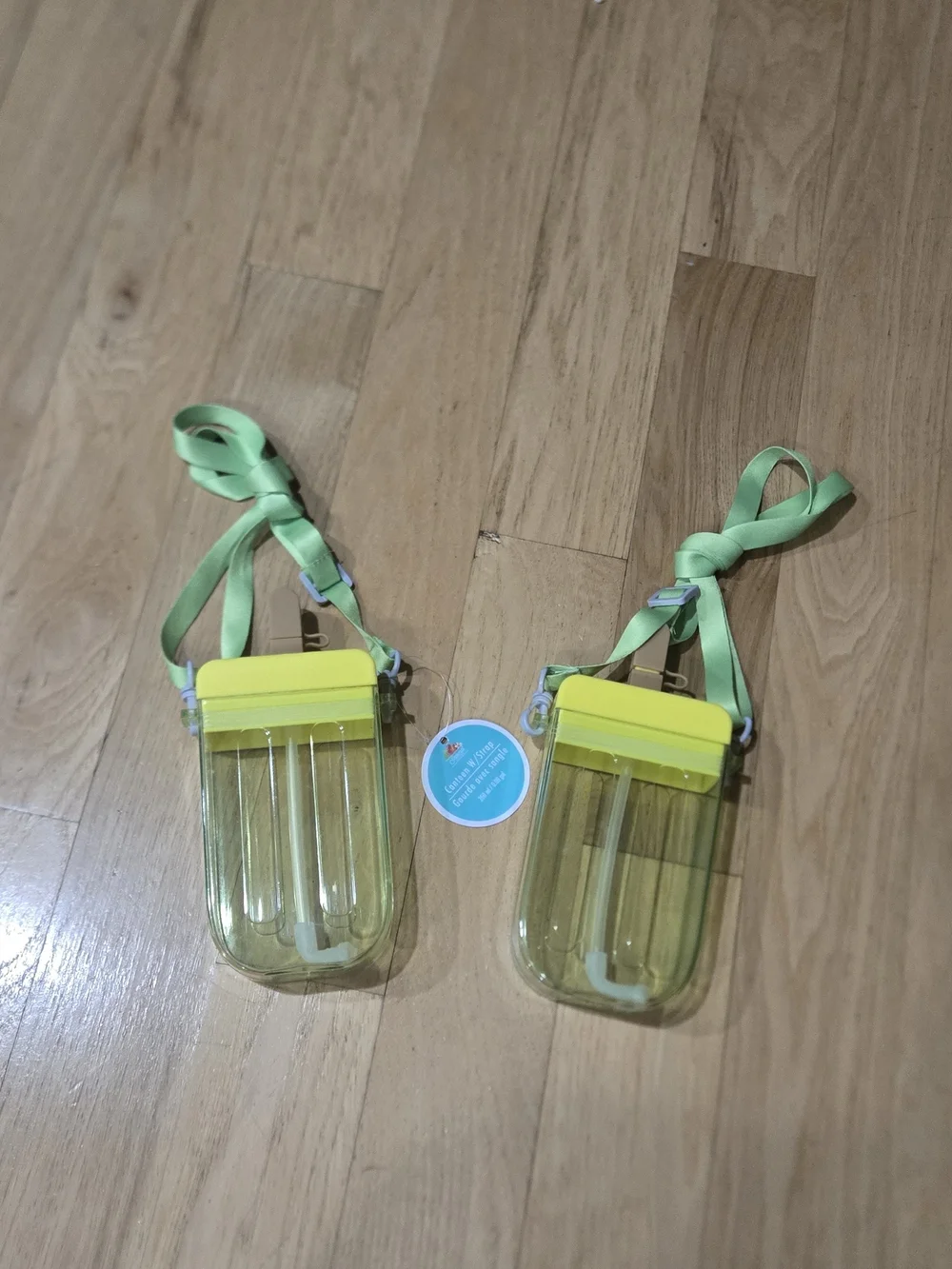 Dollar Tree Popsicle Water Cup Cantene With Strap